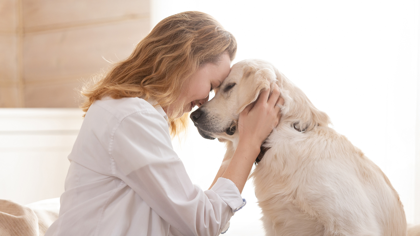 Sendo assim, não por acaso, muitos "pais de pets" preferem a companhia dos animais à criação de filhos. Foto/Internet  