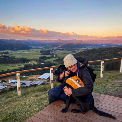 A demanda por esses animais é alta, e o trabalho de socialização é um gargalo a ser vencido. Foto/DIvulgação