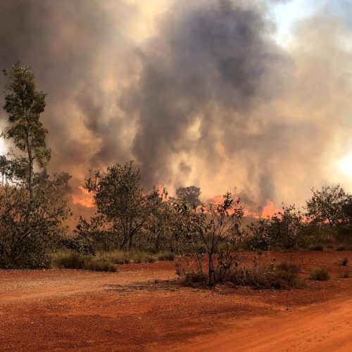 O gabinete de crise do Governo de SP segue mobilizado para o enfrentamento aos focos de incêndio. Foto/Divulgação