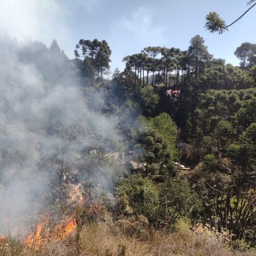 Segundo o monitoramento do Centro de Gerenciamento de Emergências (CGE) da Defesa Civil, 21 cidades ainda enfrentam focos ativos de incêndio, enquanto 46 municípios estão em alerta máximo devido à baixa umidade do ar. Foto/Divulgação