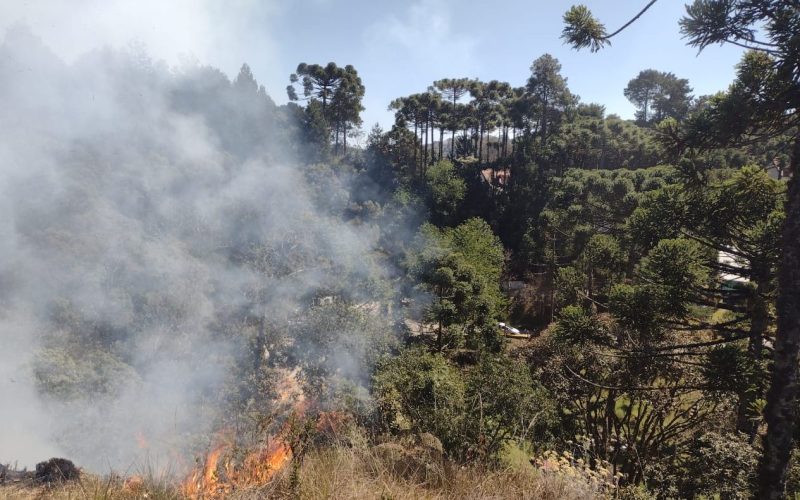 Segundo o monitoramento do Centro de Gerenciamento de Emergências (CGE) da Defesa Civil, 21 cidades ainda enfrentam focos ativos de incêndio, enquanto 46 municípios estão em alerta máximo devido à baixa umidade do ar. Foto/Divulgação