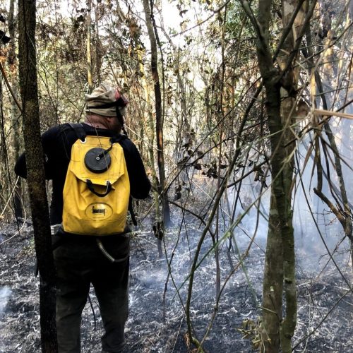 Governo de SP reforçou as equipes de brigadistas para o combate a incêndios florestais. Foto/Divulgação