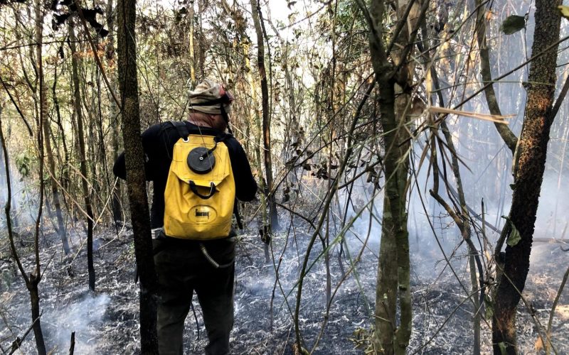 Governo de SP reforçou as equipes de brigadistas para o combate a incêndios florestais. Foto/Divulgação