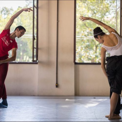 Criada em janeiro de 2008, a São Paulo Companhia de Dança (SPCD) é um corpo artístico da Secretaria da Cultura, Economia e Indústria Criativas do Governo do Estado de São Paulo. Foto: Divulgação/ Governo de SP