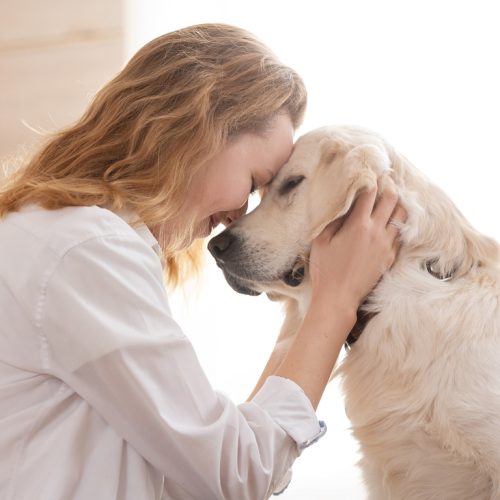 Sendo assim, não por acaso, muitos "pais de pets" preferem a companhia dos animais à criação de filhos. Foto/Internet  