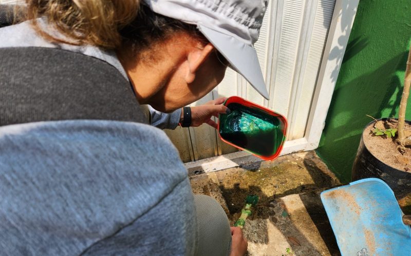 Aproximadamente 100 colaboradores e servidores da Prefeitura de Itapetininga irão percorrer os bairros para recolher materiais inservíveis que possam armazenar água. Foto/Arquivo Pessoal